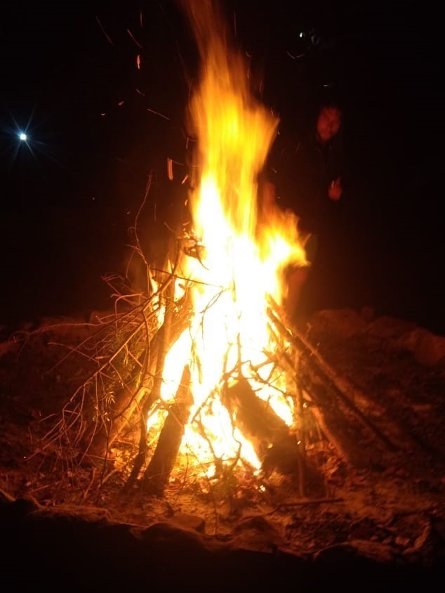 Actividades de convivencia